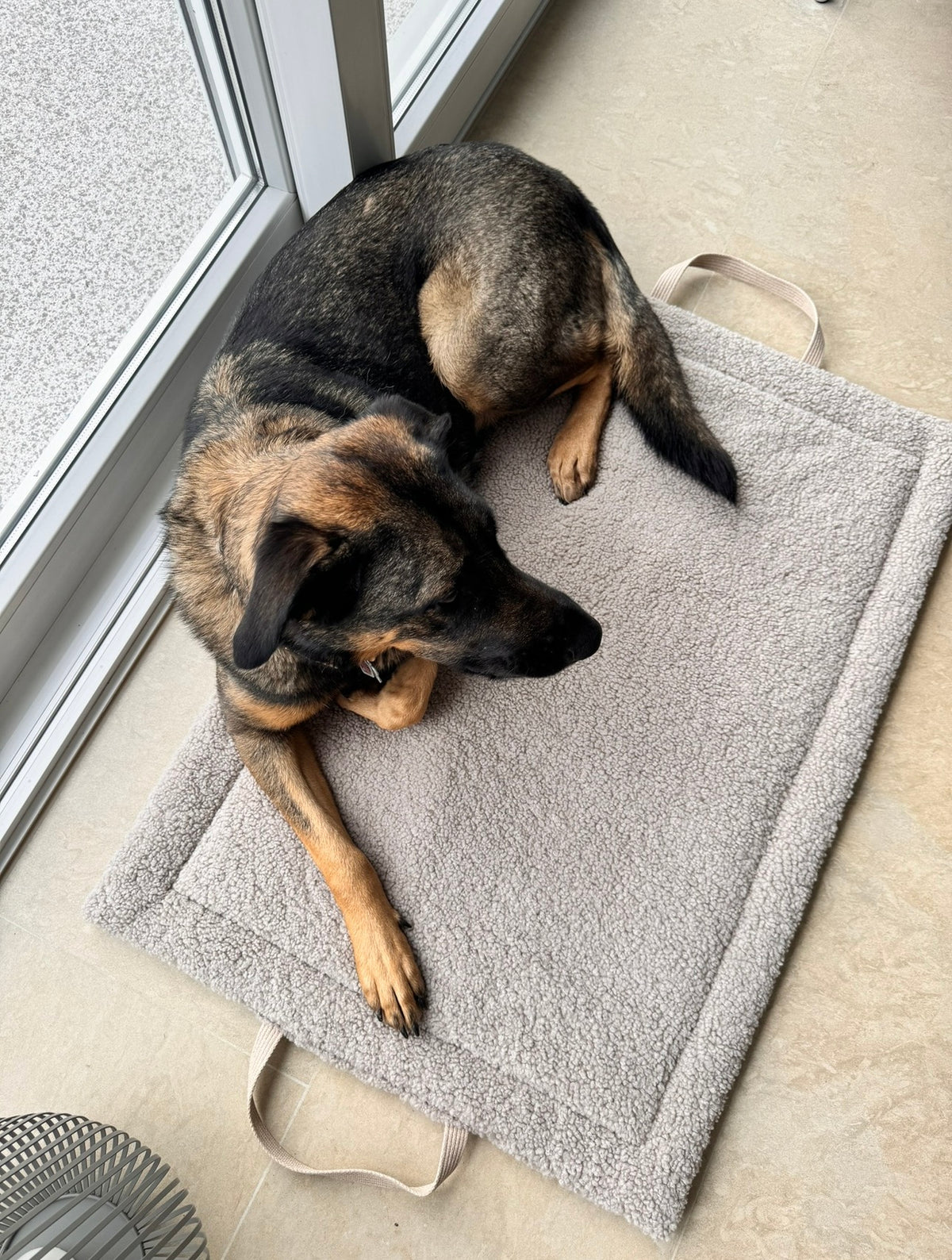 Teddyreisematte Hund - Beige