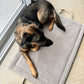 Teddyreisematte Hund - Beige