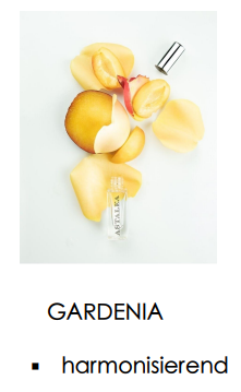 Raumduft Gardenia für Diffuser oder Autostein